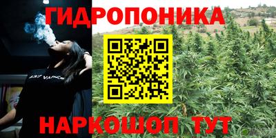 скорость Ливны