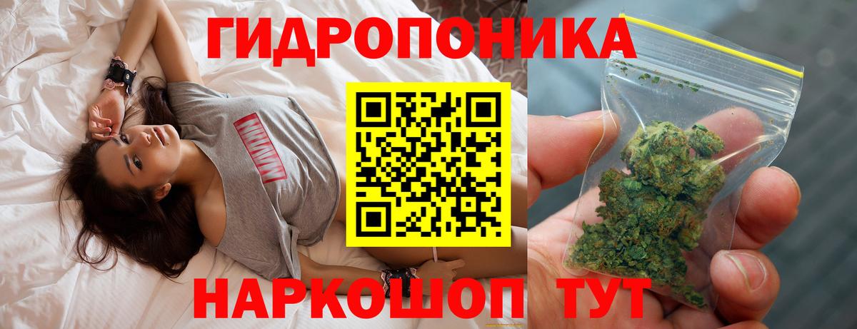 Каменка  МАРИХУАНА Amnesia  Шишки марихуана индика  Вход с VPN 